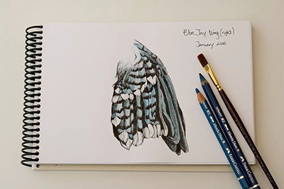 繪畫(huà)基礎(chǔ)sketchbook
