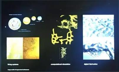 CSM圣馬丁生物設(shè)計系主任作品