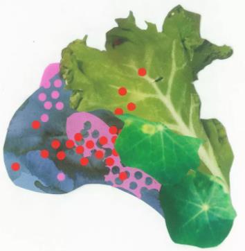 出國留學(xué)輔導(dǎo)作品
