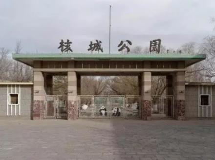 CSM平面設(shè)計(jì)作品集項(xiàng)目
